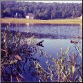 Lac ( temporaire) de la Fruitière -début années 70-Photo R. Le Corff